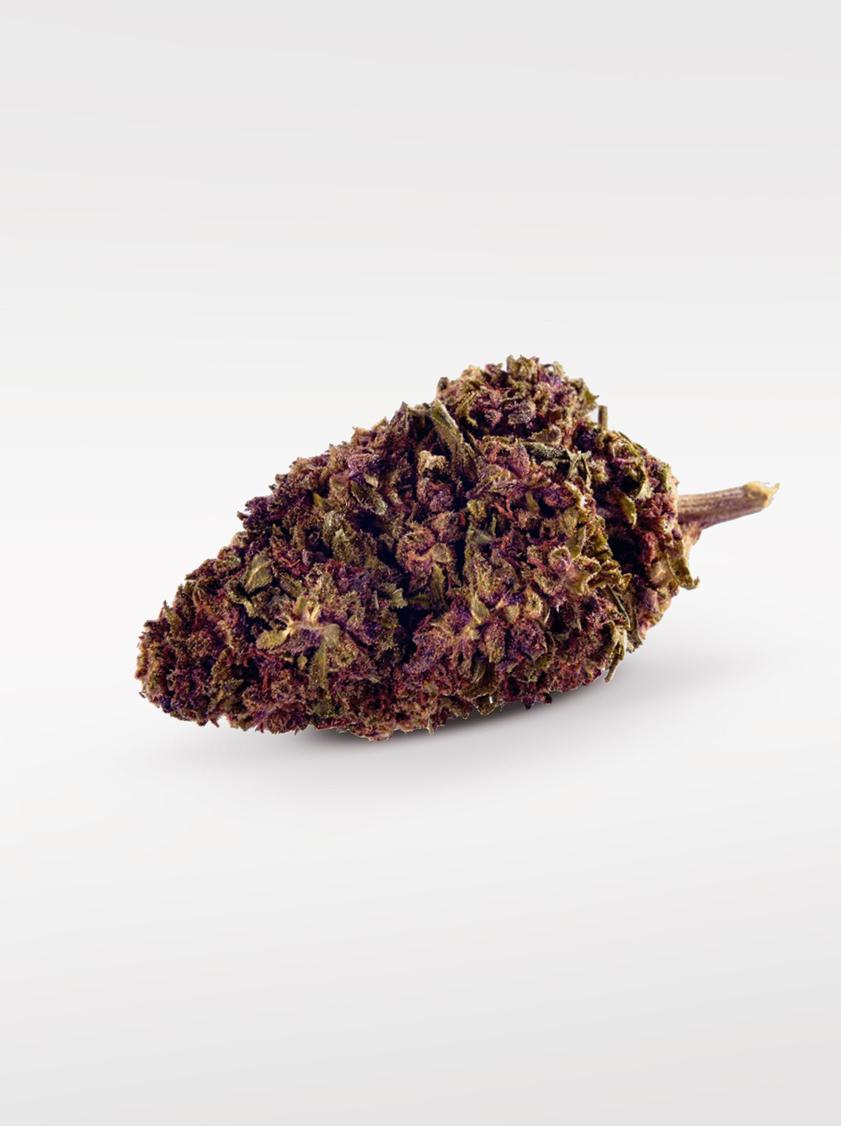 Purple Kinky Kush - Superior Blüte 40%